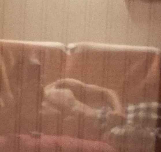 Profil de Djamy, 23 ans, Speed Dating Monaco à Brie